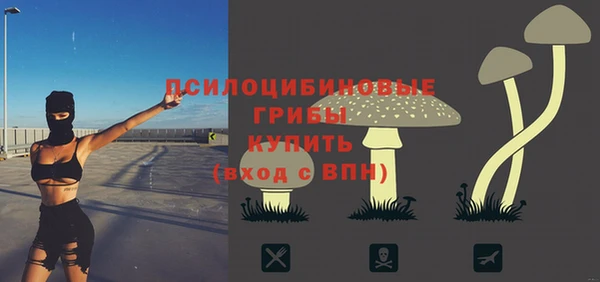 гидра Алексин