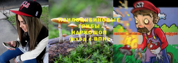ГАЛЛЮЦИНОГЕННЫЕ ГРИБЫ Горнозаводск